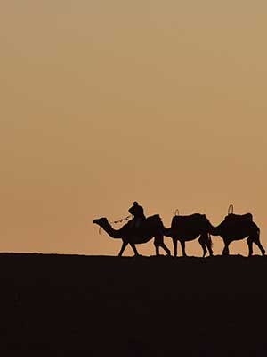 5 Days Desert Tour From Marrakech